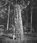 Stele F (Nordseite) im Jahre 1893. Aufgenommen und beschrieben von einem der Grndervter moderner Mayaarchologie, Alfred Percival Maudslay.