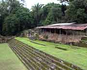 Blick auf einen Teilbereich der Akropolis in Quirigua