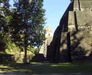 Blick auf Tempel II und I