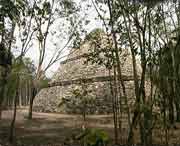 Bisher unbekannte Tempelpyramide von Coba  in seiner Seitenansicht . Der Bau hat einen ovalen Grundriss, hnlich der Magierpyramide in Uxmal. 