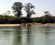 Die wirtschaftliche Nutzung des Flusses hat schon seit lngerem begonnen, hier wird Kies gebaggert